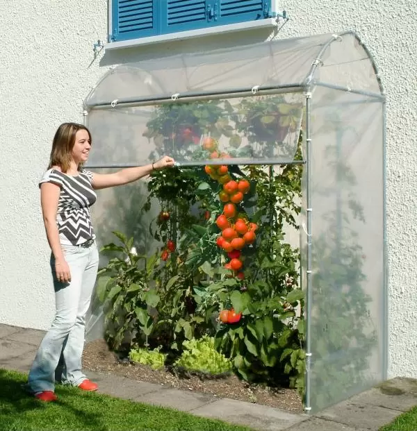 Rollo für Tomatenhaus