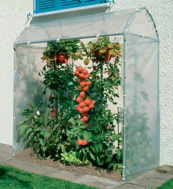 Tomatenhaus TH 80-150 Stahl